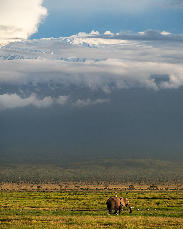 Kilimanjaro Kenya